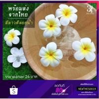 ราคา ดอกลีลาวดีลอยน้ำ จากยางพารา เหมือนจริง พร็อพถ่ายรูป ตกแต่งบ้าน ร้าน สวน สระ สปา ลีลาวดีไทย ส่งฟรี (7233359118)
