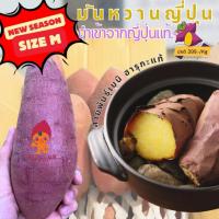 ราคา มันหวานญี่ปุ่น เบนิฮารุกะ M นำเข้าจากประเทศญี่ปุ่น100% (22470882862)