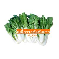 ราคา เมล็ดพันธุ์ เบบี้กวางตุ้งต้นขาว 500 เมล็ด (6877466234)