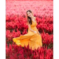 ราคา ดาราใส่เยอะมาก - เดรสยาวคล้องคอ โชว์หลัง ไปทะเล เดรสสีเหลือง maxi dress แม็กซี่เดรส แบบflat2112 (4345546788)