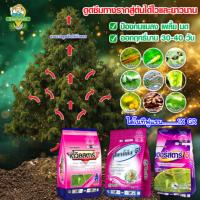 ราคา ไดโนทีฟูแรน 1 กิโลกรัม เดวิลสตาร์ จี สตาร์เกิล จี เฮอร์สตาร์ จี โรยรอบต้นก้นหลุม กำจัดหนอน แมลง ด้วง (45752068966)