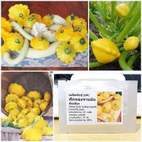 ราคา เมล็ดพันธุ์ ฟักทองจานบิน สีเหลือง (Yellow Bush Scallop Squash Seed) บรรจุ 20 เมล็ด คุณภาพดี ของแท้ 100% (4618238128)