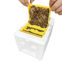 ราคา [Lszcx6l] เครื่องมือการเลี้ยงผึ้งโฟม Bee Pollination Queen Bee Mating อุปกรณ์ (27356361841)