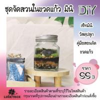 ราคา สวนขวดแก้ว ชุดจัดสวนขวดแก้ว มินิ DIY 99 บาท มีสินค้าพร้อมส่ง (29704732077)