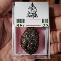 ราคา เบี้ยแก้ทาทอง(องค์ครู)หลวงปู่เพิ่ม ปุญญวสโน วัดกลางบางแก้ว จังหวัดนครปฐม (19720490307)
