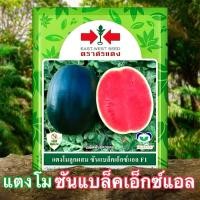 ราคา เมล็ดพันธุ์แตงโม ซันแบล็คเอ็กซ์แอล F1 ตราศรแดง ขนาด 40กรัม (44022199112)