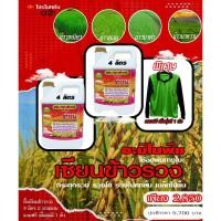ราคา พร้อมส่ง!! เซียนข้าวรวง 4ลิตร แถมอีก 1แกลลอน และเสื้อ 1ตัว ฮอร์โมนบำรุงข้าวตั้งท้อง อาหารเสริมพืช ปุ๋ย ข้าวรวง ฮอร์โมน (22450872596)