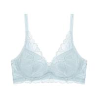 ราคา Triumph ชั้นในดันทรงแบบมีโครง รุ่น Botanic WHU DV 01-R รหัส 10223186 สีฟ้า 6535 (29874184247)