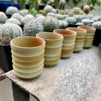 ราคา แก้วญี่ปุ่นมือ1 | ถ้วยญี่ปุ่น | กระถางญี่ปุ่น (8950828918)