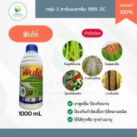 ราคา คาเบนดาซิม50% (พินโต้ 1ลิตร) สูตรเข้มข้น! ยาเย็น! เชื้อราหยุดลาม โรคกาบใบแห้ง ใบจุด ใบขีด ราแป้ง (24296285640)