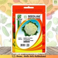 ราคา SL กะหล่ำดอก แพลตินั่ม ลูกผสม F1 เมล็ดพันธุ์กะหล่ำดอก เมล็ดกะหล่ำดอก (cauliflower) (22543051328)