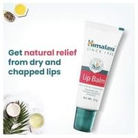 ราคา ลิปบาล์ม Himalaya Herbals Lip Balm 10 กรัม หิมาลายา ลิปบาล์ม กลิ่นหอม บำรุงริมฝีปากให้ปากนุ่มชุ่มชื่น พกพาสะดวก (28653433977)