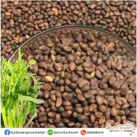 ราคา NEW!! ผักบุ้งแก้ว ผักบุ้งเย็นตาโฟ เมล็ดผักบุ้งแก้ว เมล็ดพันธุ์ผักบุ้งแก้ว เมล็ดผักบุ้ง บรรจุถุงละ 1 กิโลกรัม (21971708345)