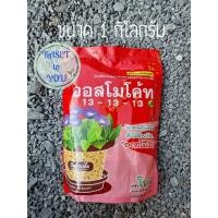 ราคา ออสโมโค้ท สูตร 13-13-13 ปุ๋ยละลายช้า สูตร 3 เดือน ขนาด 1 กิโลกรัม (14122659085)