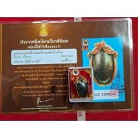 ราคา ลูกสะกดเนื้อเมฆพัตรเลี่ยมหน้า 18k ของหลวงพ่อเดิมวัดหนองโพจังหวัดนครสวรรค์ พร้อมใบรับรองพระแท้ (46352214433)