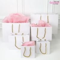 ราคา Boxjourney ถุงช้อปปิ้ง พรีเมี่ยม ไวท์ มี 4 ขนาด (20 ใบ/แพ็ค) (4105022022)
