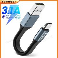 ราคา 3a สายชาร์จเร็ว แบบพกพา สั้น 11.5 ซม. พวงกุญแจ สายชาร์จโทรศัพท์ Usb สําหรับ Ios Android Typec (20881134778)