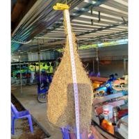 ราคา รังนกกระจาบ สวยๆๆๆๆ (4742880755)