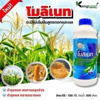 ราคา อะมิโนสูตรดอกและผล ทุเรียน,ส้ม,มะนาว,ข้าว,แตง โมลิเนท 1 ลิตร ตราโซ่ทอง (43055280736)