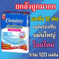 ราคา ยกลัง Certainty เซอร์เทนตี้ แผ่นรองซับ แผ่นรองซึมซับ แผ่นรองซับใหญ่ L / XL (25318953246)