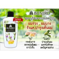 ราคา แชมพูบันจิโร่ 250 มล .(บันจิโร่) (1902021733)
