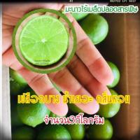 ราคา #มะนาวไร้เมล็ด คละไซด์ 3กิโลกรัม (4835485168)