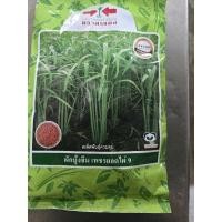 ราคา เมล็ดผักบุ้ง เมล็ดผักบุ้งจีน เพชรยอดไผ่ 9 ขนาด 1 กิโลกรัม ตรา ศรแดง ต้นสวย (43501549414)