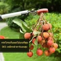 ราคา SOLO กรรไกรตัด-หนีบผลไม้ ยาว 1.8-3 เมตร ด้ามยาว กรรไกรตัดหนีบผลไม้ กรรไกรแต่งกิ่ง กรรไกรตัดกิ่งไม้ หนีบกิ่งไม้ ด้ามยาว ก (25766844324)