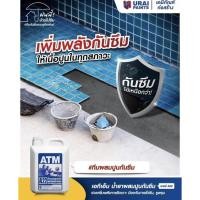 ราคา เอทีเอ็ม น้ำยาผสมปูนกันซึม (ATM Waterproofing Admixture No. A22)ขนาด 5ลิตร (13876678975)