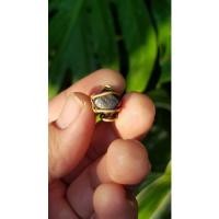 ราคา จี้ข้าวตอกพระร่วงจากสุโขทัย (22712681785)