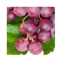 ราคา หัวน้ำหอม กลิ่นองุ่น 006357 วัตถุดิบเครื่องสำอางค์ (9233527640)