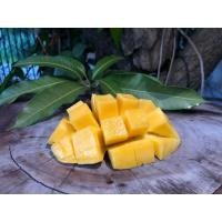 ราคา มะม่วงโชคอนันต์หวานๆ (6177949755)