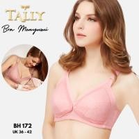 ราคา SALLY NOURSING BRA 172 / NOURSING BRA (42474559362)