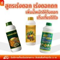 ราคา พลอยสยามโฟร์ พลอยสยามไฟว์ ดอกเงินสาหร่ายเปิดตาดอก สูตรเร่งยอด เร่งดอกดก เพิ่มน้ำหนักให้กับดอก เก็บเกี่ยวได้ไว (55303979549)