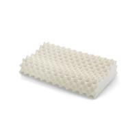 ราคา Snooze Latex หมอนยางพารา รุ่น Knobby XL (27574961019)