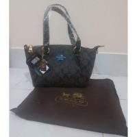 ราคา Sales!!! ขาดทุน Coach พัด มินิ 8" งานTop mirror ปั้มทุกจุด (1026264451)