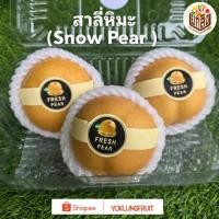 ราคา สาลี่หิมะ สายพันธุ์เกาหลี แพ็ค 3 ลูก (Snow pear) (41575269685)