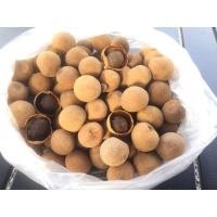 ราคา ลำไยอบแห้งทั้งเปลือก เนื้อนุ่ม หอม หวาน อร่อย ขนาด 1 กิโลกรัม (44011444412)