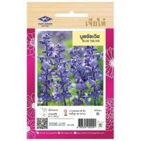 ราคา บลูซัลเวีย CT/FW-021 ดอกไม้ เจียไต๋ ดอกไม้ซอง เมล็ดพันธุ์ เมล็ดพันธุ์ผัก เมล็ดพันธุ์ ดอกไม้เจียไต๋ (14098192669)
