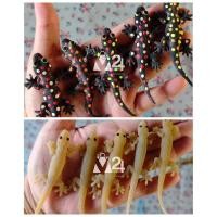 ราคา (แพ็ค 5 ตัว) สัตว์ปลอม จิ้งจกปลอม ตุ๊กแกปลอม ของเล่นแก้งคน ของเล่นแกล้งเพื่อน โมเดลสัตว์ ฮาโลวีน m24 (26921887374)