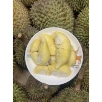 ราคา ทุเรียนหมอนทองจันทบุรี (2948106947)