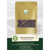 ราคา เมล็ดพันธุ์หญ้าเจ้าชู้(บรรจุ200เมล็ด) (28059865806)