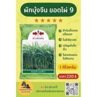 ราคา เมล็ดพันธุ์ผักบุ้งจีน ยอดไผ่ 9 ตราศรแดง (54904817257)