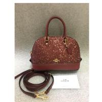 ราคา Used like new coach โดมจิ๋ว 6” แท้% (1846315605)