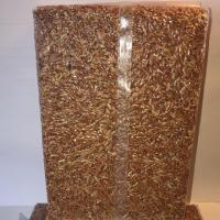 ราคา ข้าวกล้องสังข์หยด (พัทลุง) ข้าวออร์แกนิก ไร้สารพิษ ไร้สารกันมอด 100% (943990736)