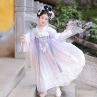 ราคา 【พร้อมส่งจากจีน】ชุดฮั่นฝู hanfu ชุดตรุษจีน เดรสนางฟ้า สีม่วง สไตล์จีนโบราณ สวย สำหรับเด็กผู้หญิง (53304582097)