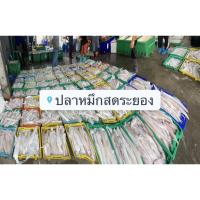 ราคา ปลาหมึกกล้วยสดแช่แข็ง (19989419835)