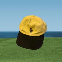 ราคา หมวกแก๊ป cap polo ralph (13521180236)