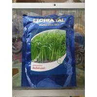 ราคา เมล็ดผักบุ้งจีน เมล็ดผักบุ้ง เรียวไผ่ทองคำ ขนาด 1 กิโลกรัม ตรา เจียไต๋ (29936054621)