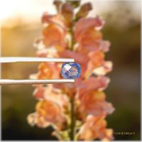ราคา ไพลินแท้ Blue Sapphire 1.30ct ธรรมชาติ ไม่เผา ทรง Cushion | GemsEmbrace (51855976969)